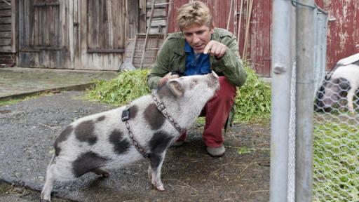 Ein kleines geschecktes Schwein steht vor Fritz, der in der Hocke hinter dem Schwein sitzt.