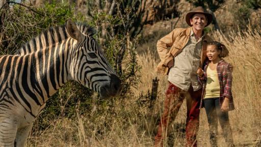 Löwenzahn - Abenteuer in Südafrika Film MT25 | Rechte: ZDF Abenteuer in Südafrika