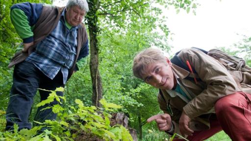 Paschulke und Fritz beim geocachen