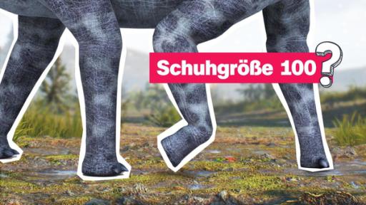 große Dinosaurierbeine 