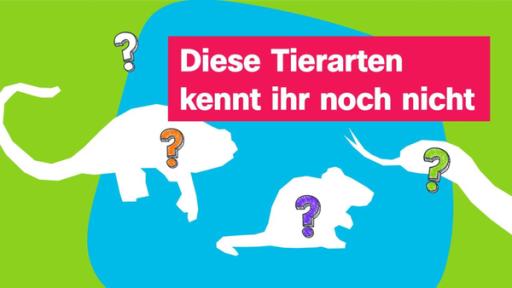 Tiersilhouetten mit Fragezeichen, dazu Schriftzug "Diese Tierarten kennt ihr noch nicht"