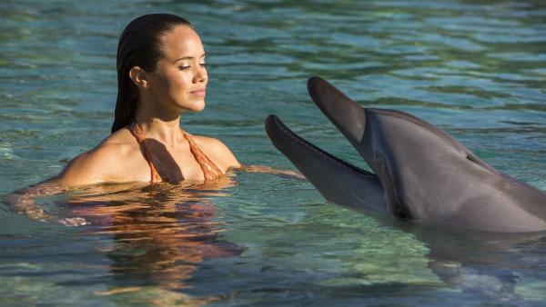 Mimmi (Allie Bertram) hat entdeckt, dass eins der Delfin-Weibchen im Meerespark kurz vor der Geburt eines Delfinbabys steht. | Rechte: ZDF/Jonathan M. Shiff Prod./Vince Valitutti