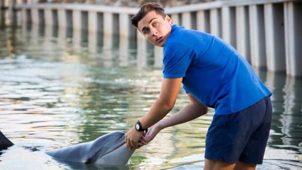 Chris (Taylor Glockner) ist Delfintrainer im Meerespark und kümmert sich mit Hingabe um seine Schützlinge. | Rechte: ZDF/Vince Valitutti