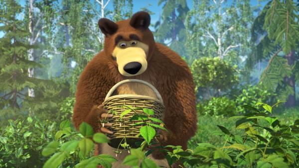 Der Bär will Himbeeren pflücken. | Rechte: KiKA/Animaccord Animation Studio