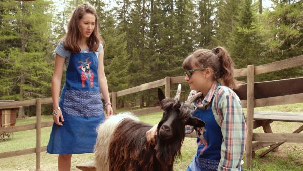 Bauernhofarbeit für Mia (Margot Nuccetelli, l.) und Sara (Lucia Luna, r.). Sie wollen eine der Ziegen melken. | Rechte: ZDF/2017 Hahn & m4e Productions