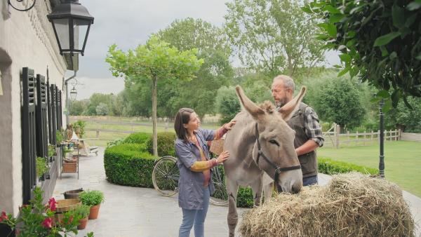 Hektor (Harry Piekema, r.) ist wieder einmal mit seiner Eselin Linda bei der Tierarztpraxis von Dr. Carina aufgetaucht. Mia (Margot Nuccetelli, l.) untersucht die Eselin.