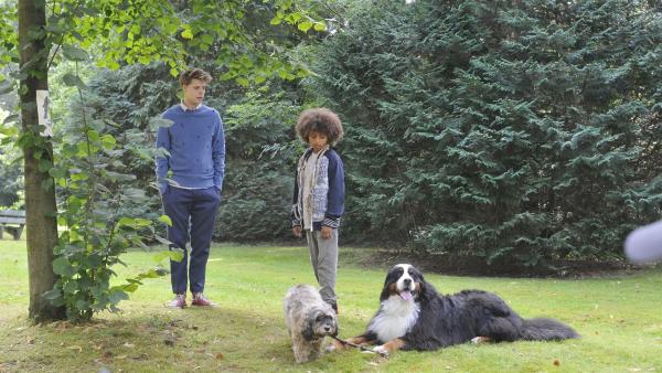 Lehrer Kees (Leendert de Ridder, l.)  überzeugt Winston (Kayen Thodé, r.) davon, den Hund Teddy wieder zu seiner Besitzerin zurückzubringen. | Rechte: ZDF/PVP Pictures/Jaap Vrenegoor