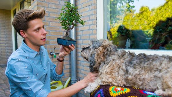 Herr Kees (Leendert de Ridder) präsentiert seinem Hund Harley stolz einen Bonsaibaum. Diesen möchte er als Preis an den Gewinner des bevorstehenden Eierlauf-Wettbewerbs überreichen. | Rechte: ZDF/PV Fiction/Jaap Vrenegoor