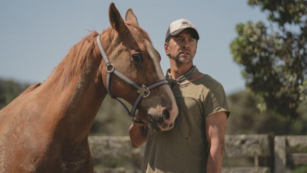 Tom (Kirk Torrance) hat das Wildpferd Blaze fest im Griff. Seine Fertigkeiten als Pferdeflüsterer helfen ihm dabei, das Tier zu beruhigen. | Rechte: ZDF/Matt Klitscher