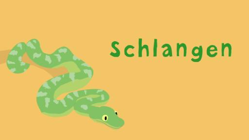 Schlangen