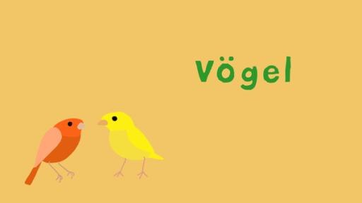 Vögel