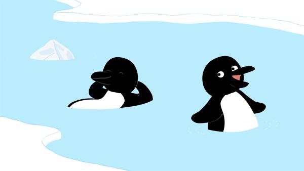 Ein heißer Sommertag im Zoo. Wie schaffen es die Peeks, den Pinguinen Kühlung zu verschaffen? | Rechte: KiKA/Igloo Productions Ltd.