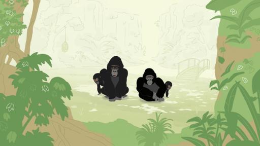 Die Gorillafamilie soll in ein artgerechteres Gehege umziehen. Doch die Gorillas lieben ihr altes zuhause und haben keine Lust auf einen Umzug.