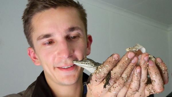 Eric Mayer mit einem schlüpfenden Krokodilbaby | Rechte: ZDF/Simone Grabs