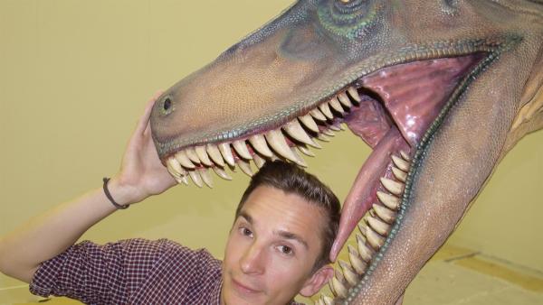Eric mit einem Dinosaurier-Modell. | Rechte: ZDF/Michaela Kinzler