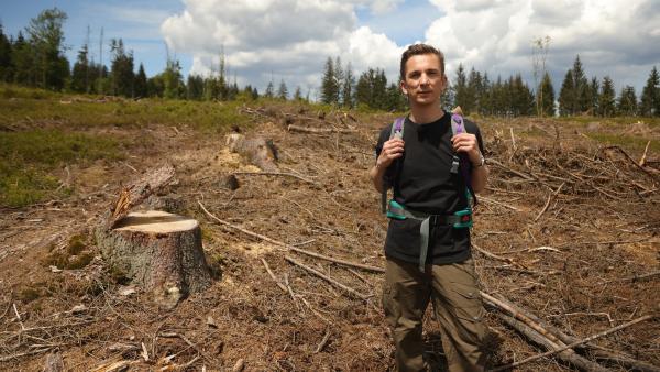 Eric Mayer ist für "PUR+" unterwegs auf den Spuren des Waldsterbens in Deutschland. | Rechte: ZDF/Eva Werdich