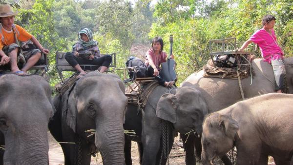 Seit 500 Jahren arbeitet das Bergvolk der Karen in Thailand mit Elefanten. | Rechte: ZDF/Uli Schenk