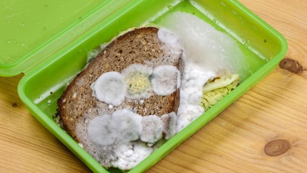 Verschimmeltes Brot in einer Brotbox. | Rechte: ZDF
