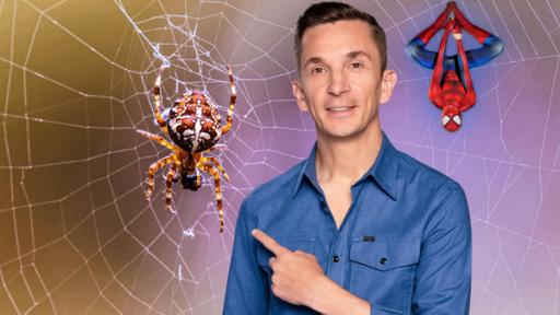 PUR+ Moderator Eric Mayer steht mit dem Blick nach vorne gerichtet. Seine linke Hand zeigt mit dem Zeigefinger auf ein großes Spinnennetz hinter ihm. Darin sitzt eine Kreuzspinne. Oben rechts im Spinnennetz hängt eine Spidermanfigur kopfüber.