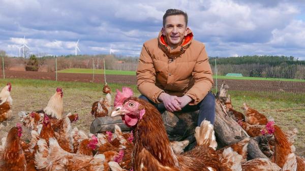 PUR+ - Hühner | Rechte: ZDF