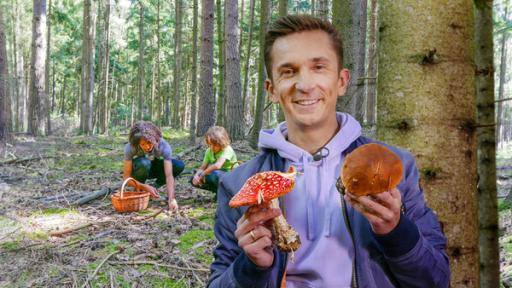 Eric Mayer steht im Wald zwischen den Bäumen und direkt vor einem Baumstamm. Er lächelt in die Kamera. In seiner rechten Hand hält er einen großen Fliegenpilz. In der linken Hand hält er einen großen Steinpilz. Im Hintergrund suchen ein Kind und eine erwachsene Person hockend am Waldboden nach Pilzen. Sie haben einen Korb dabei.