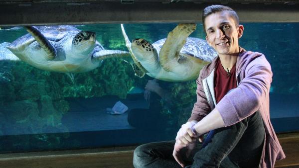 Eric vor einem Aquarium mit Schildkröten | Rechte: ZDF
