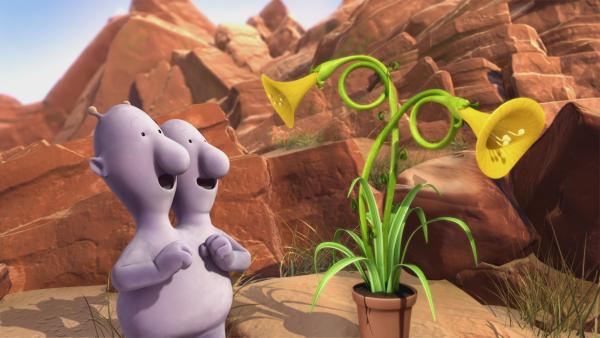 Eddi ist der einzige, dem es gelingt, seine Pflanze zum Wachsen zu bringen. | Rechte: KiKA/Snapper Productions/Q Pootle 5 LTD