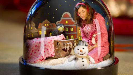 Rudi, Koffer, Schneemann und Frau Siebenstein sitzen in einer Schneekugel