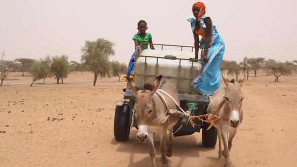Fatou und ihre jüngere Schwester Khady holen täglich Wasser für die 19 Menschen in ihrem Dorf. | Rechte: SWR/Irja von Bernstorff