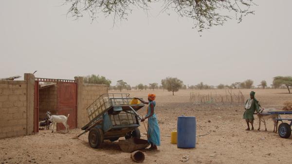 Fatou bereitet den Wasserkarren vor und spannt dann die Esel an. | Rechte: SWR/Irja von Bernstorff