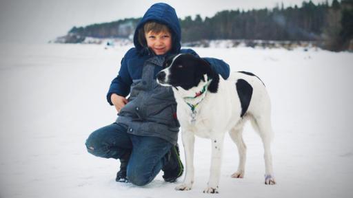 Lutch mit einem Hund im Schnee