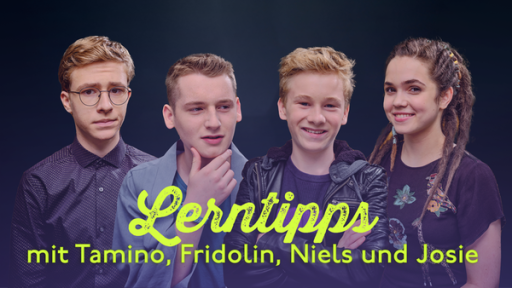 Schloss Einstein: Lerntipps mit Tamino, Fridolin, Niels und Josie