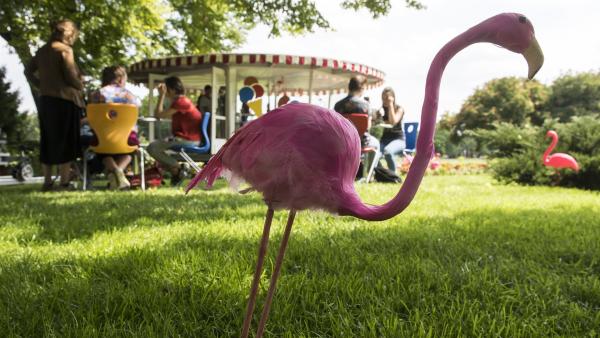 Im Eiscafé Flamingo haben die Einsteiner einen neuen Treffpunkt gefunden. | Rechte: MDR/Saxonia Media/Felix Abraham