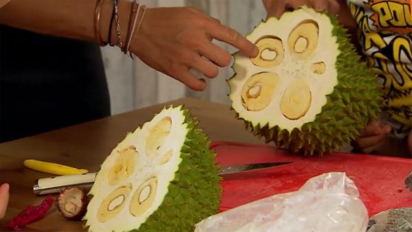 Vietnamesische Durianfrucht | Rechte: ZDF/ORF/René Rothkopf