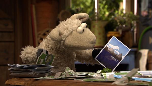 Wolle hat nur Pech mit seinen Dinobildern. Ständig Doppelte! | Rechte: NDR