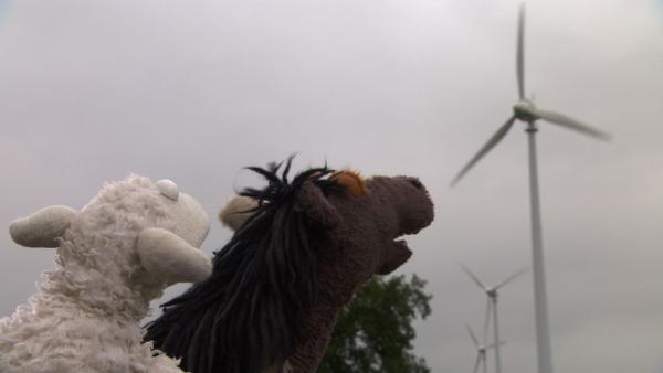 Pferd und Wolle machen sich auf Günnis Tipp hin auf zu einem Windpark. | Rechte: NDR/Sesame Workshop