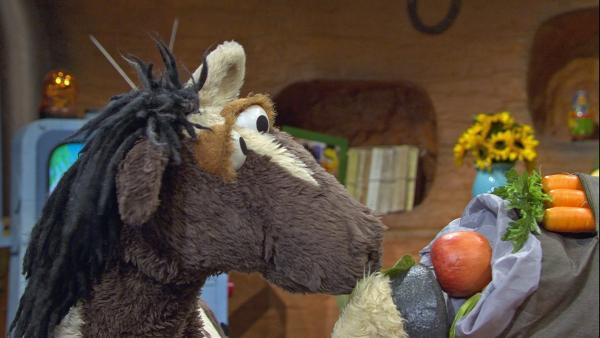 Pferd packt jede Menge Proviant für die Wanderung mit Wolle ein. | Rechte: NDR/Sesame Workshop