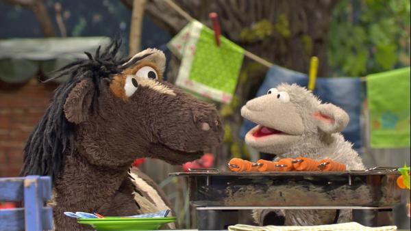 Pferd und Wolle haben schon Möhren auf den Grill gelegt, aber der funktioniert ausgerechnet jetzt nicht mehr. | Rechte: NDR/Sesame Workshop