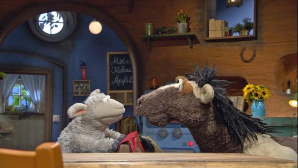 Bei einem Streit machen Wolle und Pferd das Buch kaputt. | Rechte: NDR/Sesame Workshop