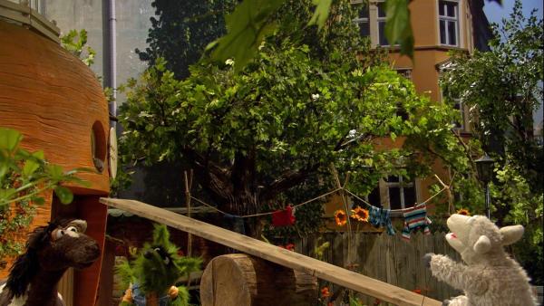 Wolle versucht, sich mit einem Katapult auf die Dachterrasse zu schleudern. | Rechte: NDR/Sesame Workshop