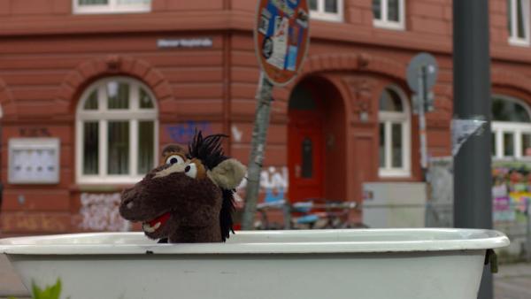 Mit seiner eingetauschten Badewanne fährt Pferd durch die Stadt. | Rechte: NDR/Sesame Workshop