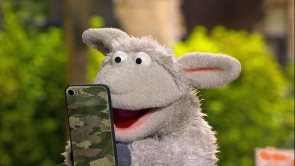 Wolle ist total begeistert von seinem neuen Handy. | Rechte: NDR/Sesame workshop