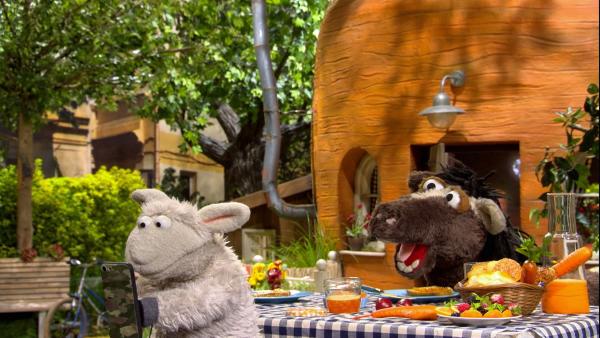 Pferd möchte gerne mit Wolle zum Markt gehen, aber Wolle hört gar nicht richtig zu. | Rechte: NDR/Sesame workshop