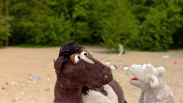 Wolle und Pferd sind erschrocken, weil der Strand voller Müll liegt. | Rechte: NDR/Sesame workshop