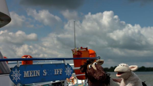 Die Müllspur vom Strand führt zu einem mysteriösen Schiff. | Rechte: NDR/Sesame workshop