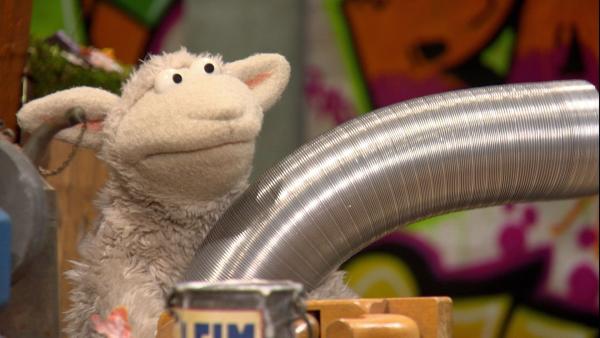 Wie jeden Morgen möchte Wolle erst einmal an seiner Maschine basteln. | Rechte: NDR/Sesame workshop