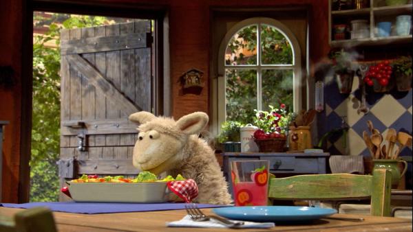 Wolle ist traurig, weil sich mit Pferd gestritten hat und nun alleine zu Mittag essen muss. | Rechte: NDR/Sesame workshop