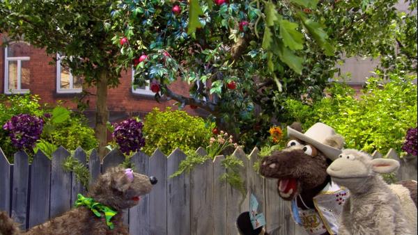 Pferd und Wolle treffen die Hündin Polly, ihre neue Nachbarin. | Rechte: NDR/Sesame Workshop