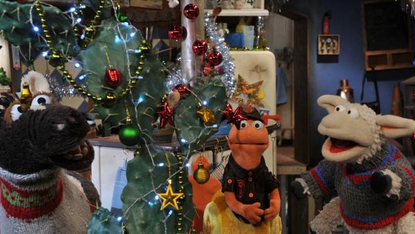 Pferd, Wolle und Finchen haben alles weihnachtlich dekoriert. | Rechte: NDR/Uwe Ernst