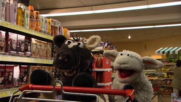 Wolle und Pferd sind begeistert und wollen sich ein Planschbecken kaufen. | Rechte: NDR/Studio Hamburg